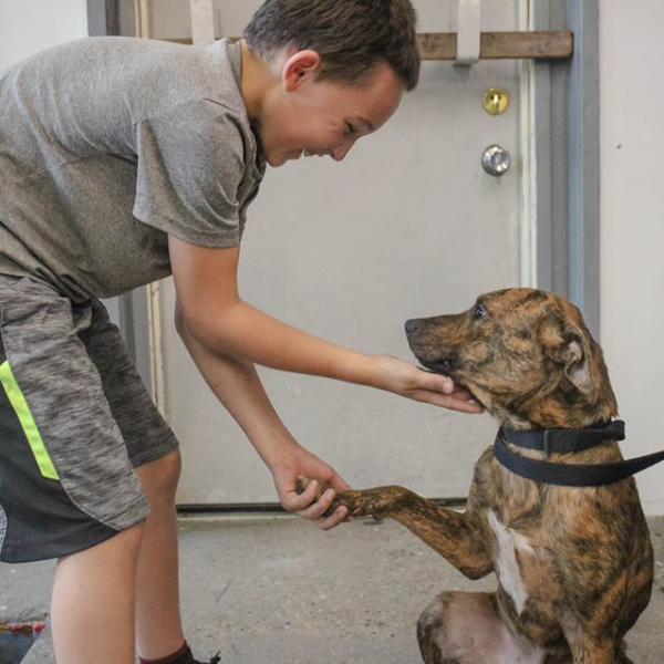 Boy Playing With Dog